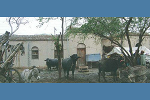 Irrigation Bungalow, Garhi Khairo