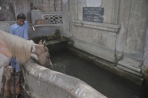 Guru Mandir trough