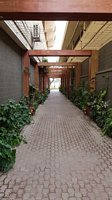 Karachi Gymkhana