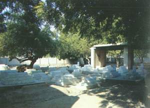 Hazrat Shah Ladhani