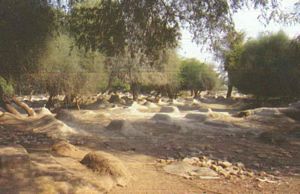 Pir Mashaikh Tunio Graveyard