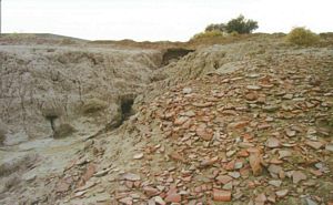 Sutiaro Ruins