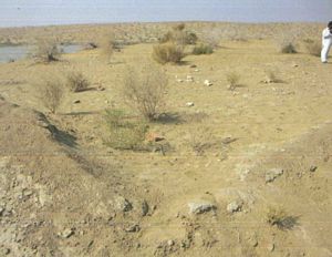 Ruins of Veesar Valley