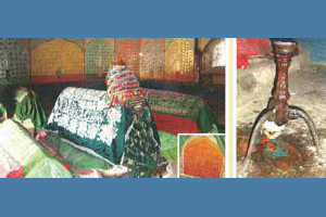 Shadi Shaheed 