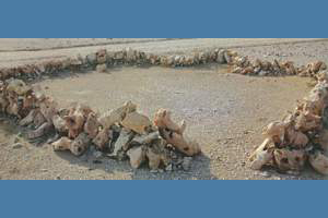 Sphinx of Rohri Hills