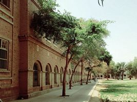 Government Pilot School