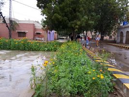 Govt. Elementary College 