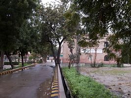 Govt. Elementary College 