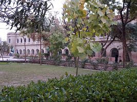 Govt. Elementary College 