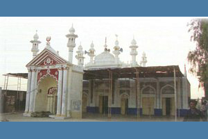 Mansoorah College