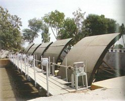 Paleejani Mori