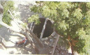 Ganoo Mal Mansion, Behlani