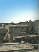 Kot Mir Yaqoob Ali Shah