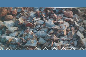 Paleolithic Sites Rohri Hills