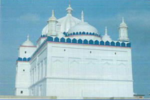 Syed Ali Shirazi